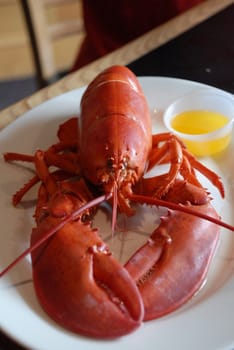 Lobster with butter on plate