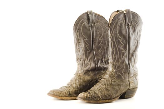 Snake skin cowboy boots