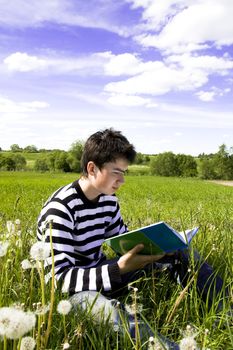 Reading boy sit in a field with a book