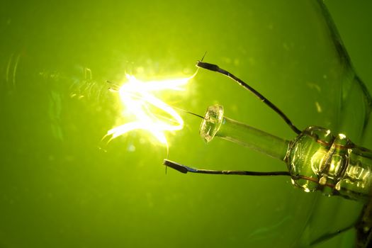 Macro light bulb glowing on a green background