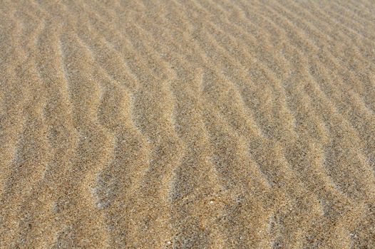 a close up picture sand on the beach