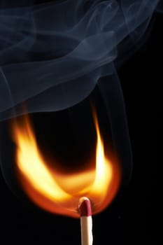 close up macro of a match on fire