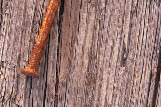 a macro picture of old wood and nail