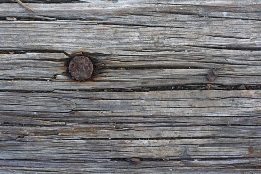 a macro picture of old wood and nail