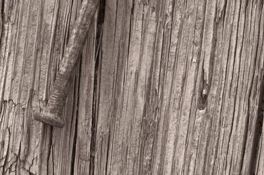 a macro picture of old wood and nail