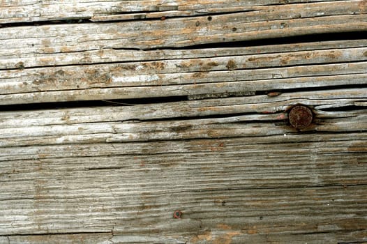 a macro picture of old wood and nail