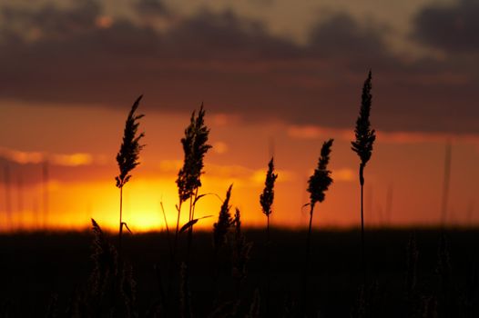 red yellow and orange bright colorful sky