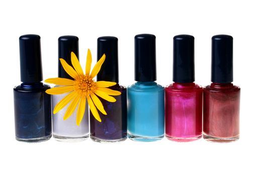 Set of a varnish for manicure in small bottles with brushes and a yellow flower.