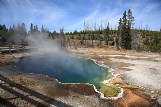 Steaming geothermal hot springs on the shore of Yellowstone Lake