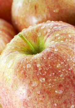 a close up macro of fresh gala apple