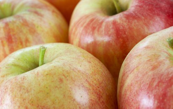 a close up macro of fresh gala apple