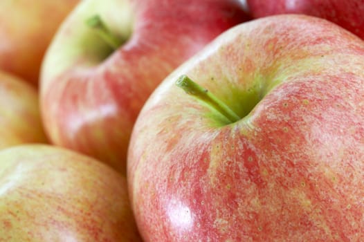 a close up macro of fresh gala apple