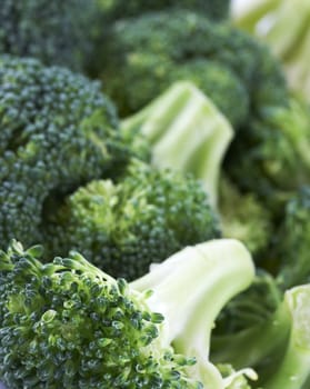 a close up macro of green vegetable