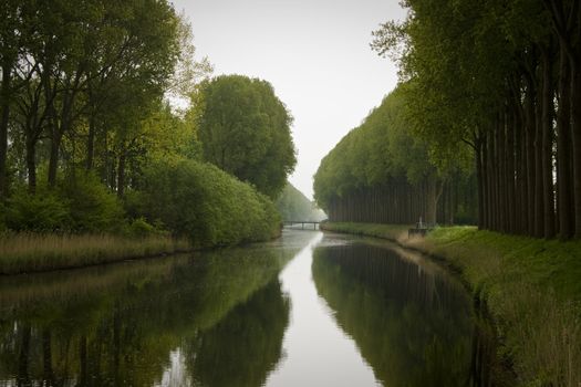 Trees bordering canal in Damme Flanders