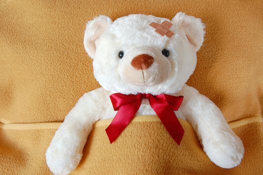 ill teddy bear in bed waiting for medicine
