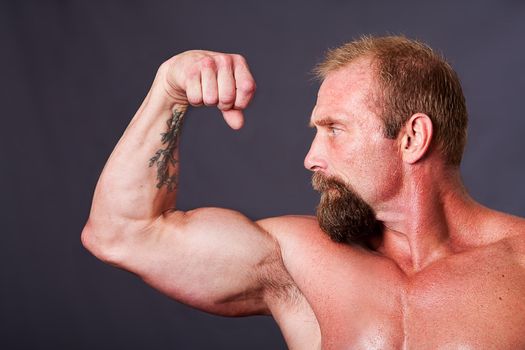 Middle aged Caucasian strong man with beard looking sideways making a fist to show biceps, isolated.