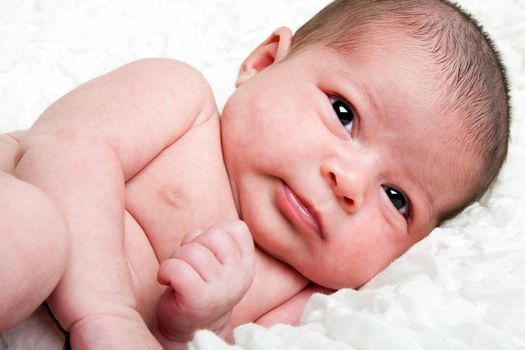 Cute Caucasian Hispanic infant baby laying on soft white cotton cloud, closeup.