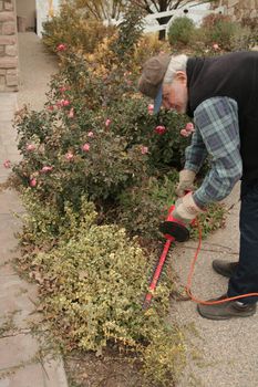 Mature male doing yard work