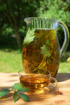 cup of tea in the garden showing concept of gardening