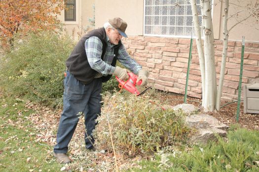 mature male doing yard work