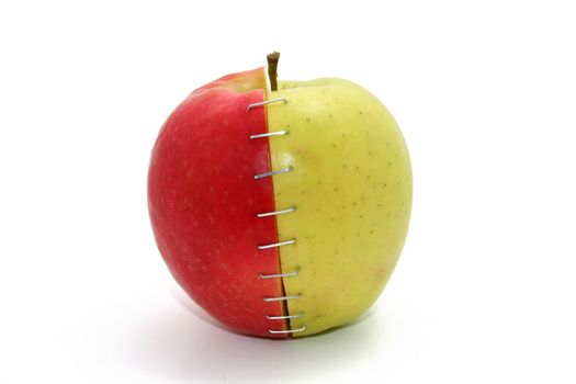 a red and a green apple stapled together