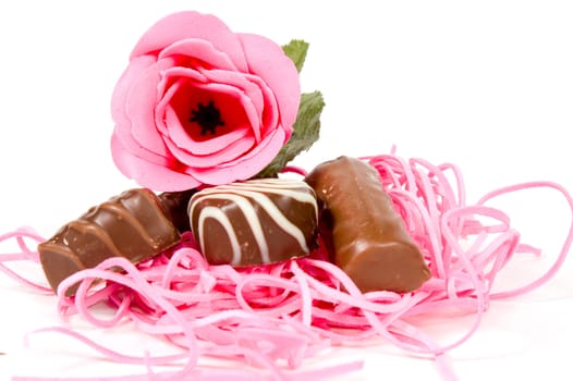 pink rose and chocolate for valentine isolated on white