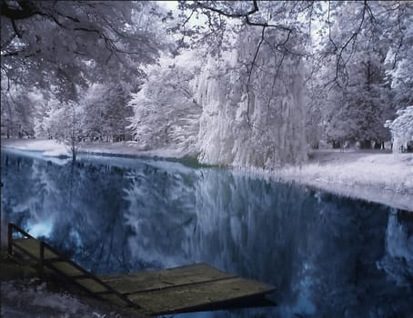 the park with lake in winter