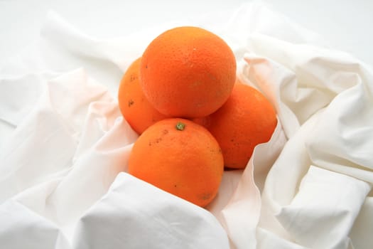 beautiful orange over white background