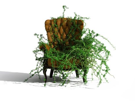 growed by green plant brown leather armchair