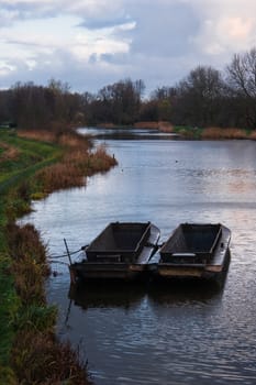 Iron boats are used for cutting the reed at the waterside - vertical image