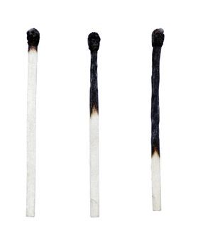 Life Cycle Of The Match, Three Matchsticks Burnt  To Different Levels