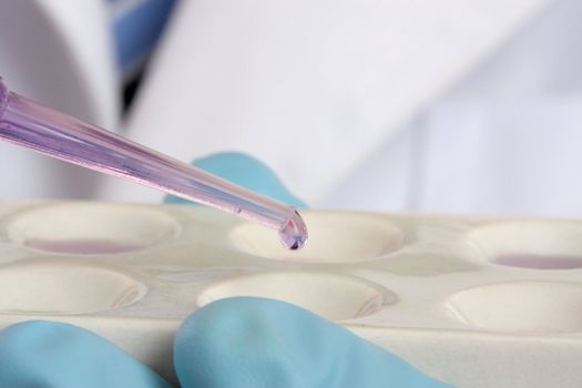 A scientist or laboratory worker using a pipette and ceramic spotting plate.  Spot plates are suitable for observing colour or chemical reactions and are extensively used in semi-micro chemistry.  Focus to pipette.