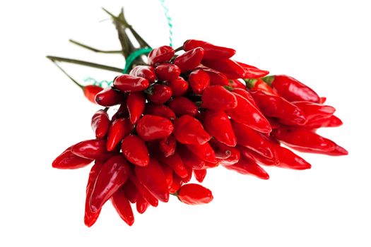 bunch of red chilis isolated on white background