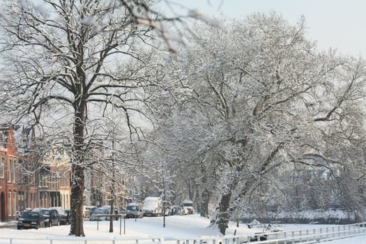 Snow covered canal and frosted trees in Haarlem, Holland