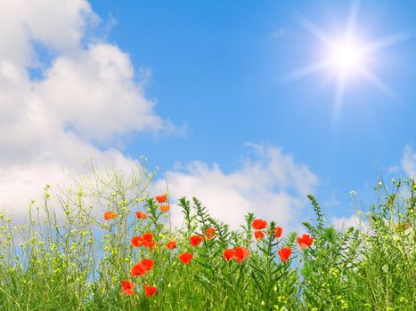 green field on blue sky 