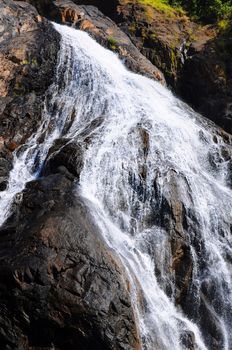 Dudhsagar waterfall in jungle forest in India (GOA, Karnataka)