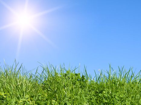 green field on blue sky 