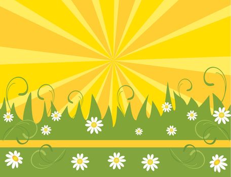 spring flower background, element for design, illustration