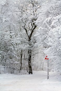 A icy road and frosted trees in a winter landscape