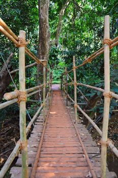 Indiana Johns's style hanging bridge made of bamboo and ropes