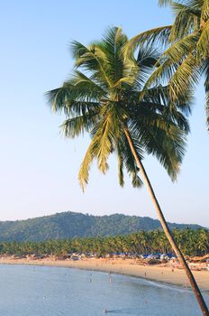 Palm trees with beautiful seascape on background with mountains, bay, sand beach and shacks.