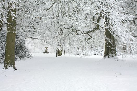 A snowy path in a winter forest