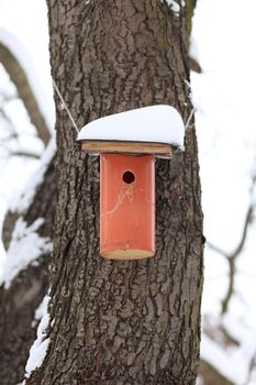 little red nesting box covered by snow