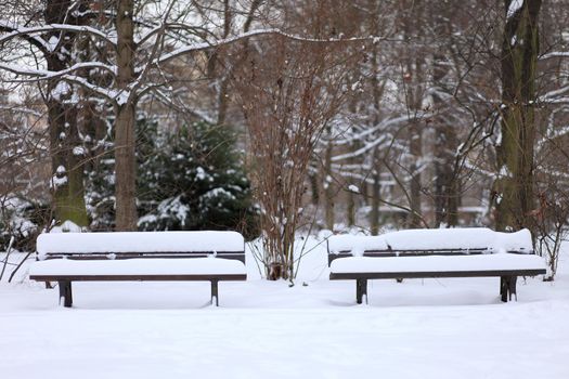 two lonely benches snow-covered in a park