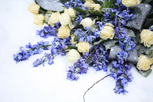 A flower arrangement in the snow, white roses and other blue flowers