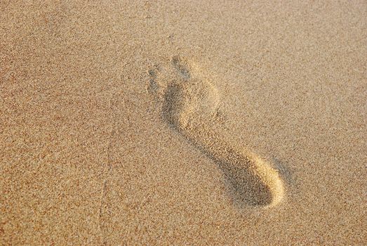 Footprint on the beach sand