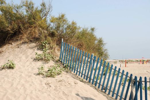 Typical beach scene: sand dune with bushes, plants and fence