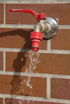 A leaky garden faucet.