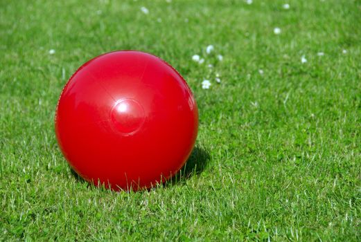 Beach ball on grass