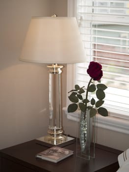 Rose and lamp